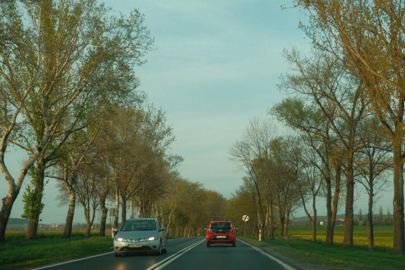 Drogi i wypadki Kraków - Zdjęcie podglądowe artykułu